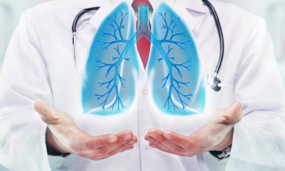 Akciğeri Güçlendiren Besinler Nelerdir?
